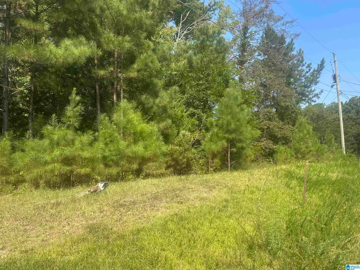 58 TODT DRIVE, Ohatchee, AL 36271 - #1