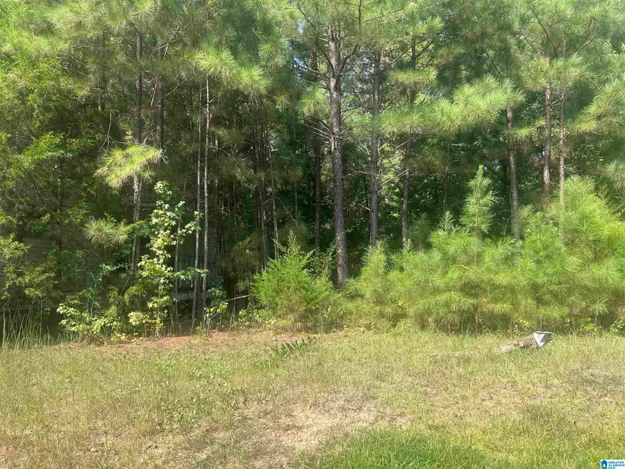 58 TODT DRIVE, Ohatchee, AL 36271 - #2