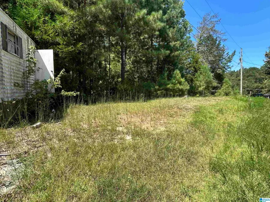 58 TODT DRIVE, Ohatchee, AL 36271 - #3