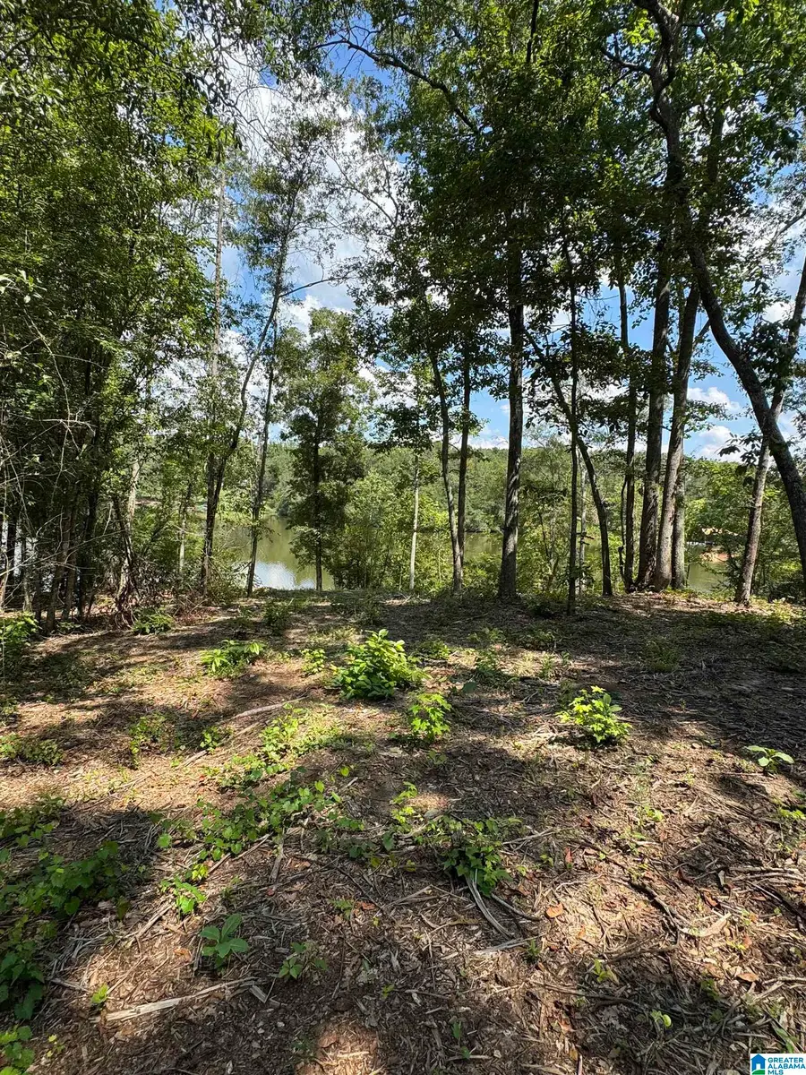 Lot 6 Cam's Cov OLD HIGHWAY 431, Wedowee, AL 36278 - #2