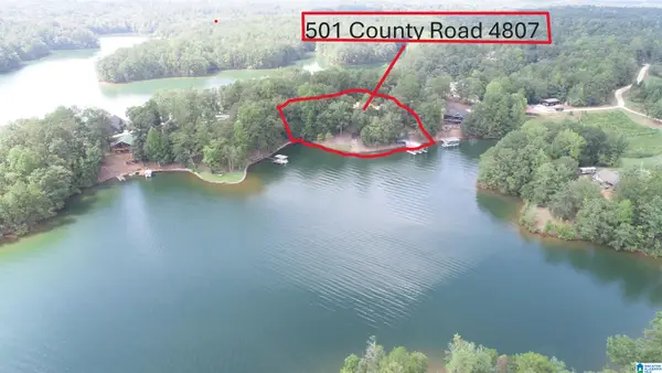 501 COUNTY ROAD 4807, Lineville, AL 36278