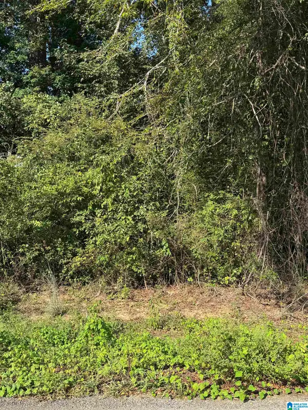 0 SHOCCO SPRINGS ROAD, Talladega, AL 35160