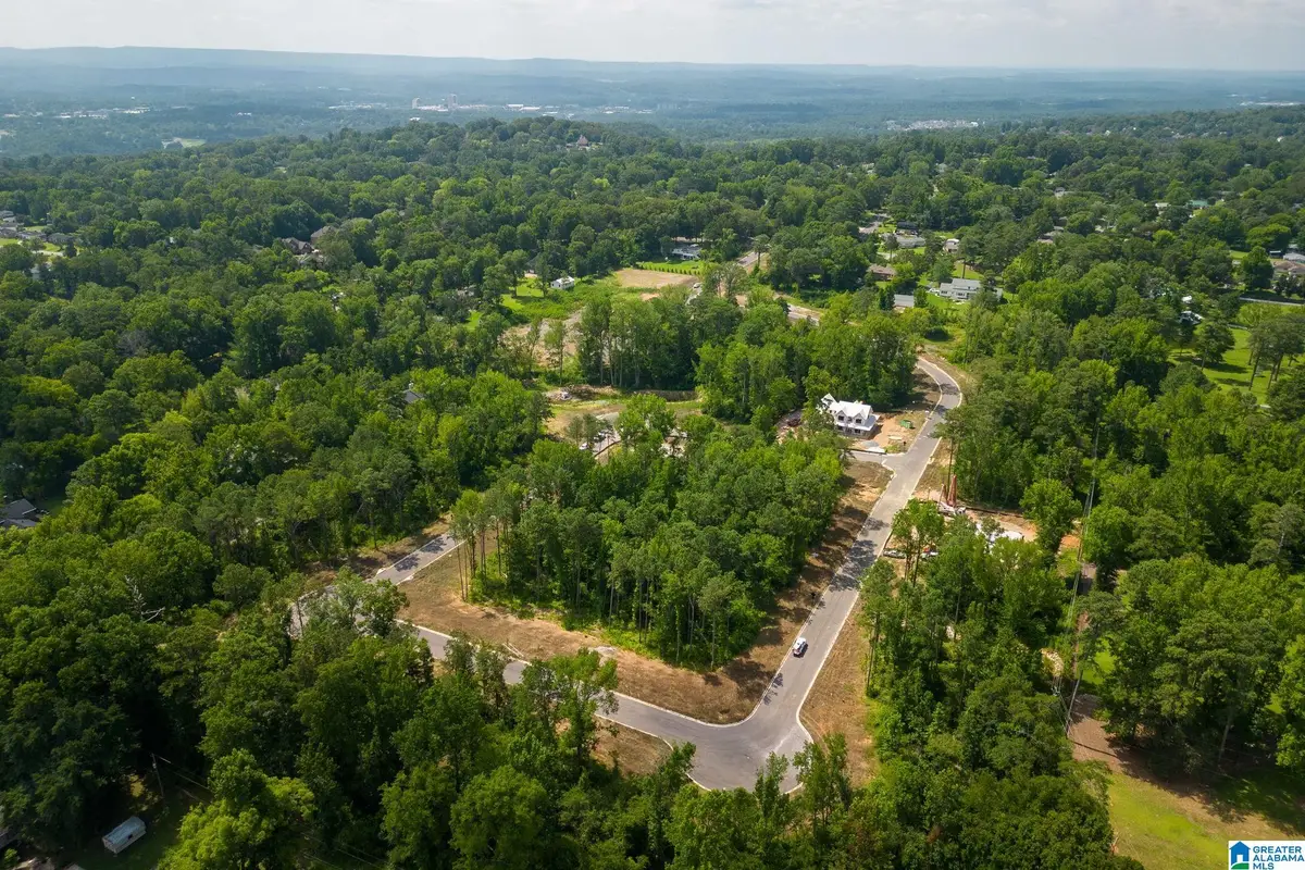 3416 SMITH FARM DRIVE, Hoover, AL 35226 - #1
