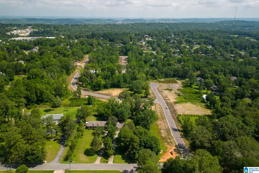 3416 SMITH FARM DRIVE, Hoover, AL 35226 - #2