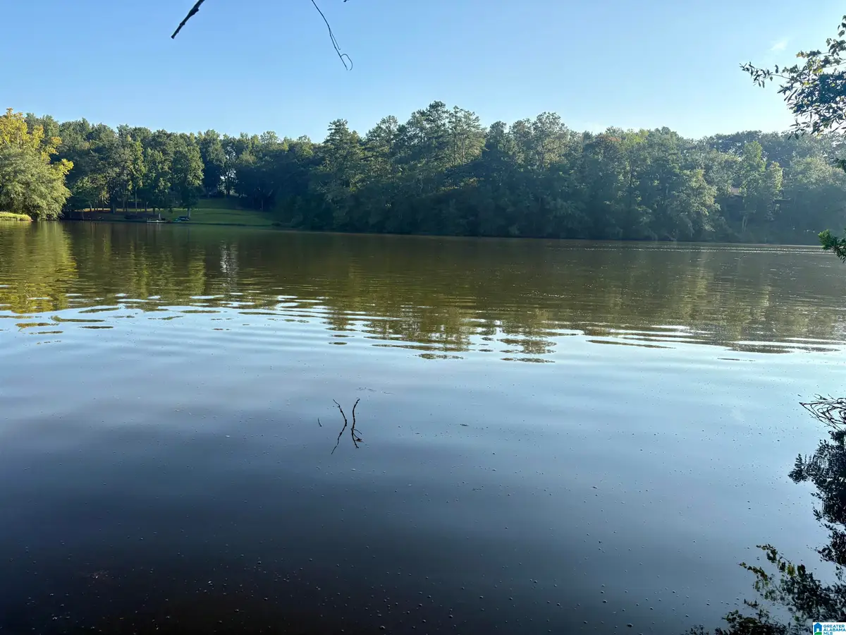 Lot 7 Cam's Cov OLD HIGHWAY 431, Wedowee, AL 36278 - #1