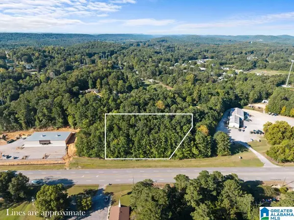 00 HIGHWAY 231, Oneonta, AL 35121