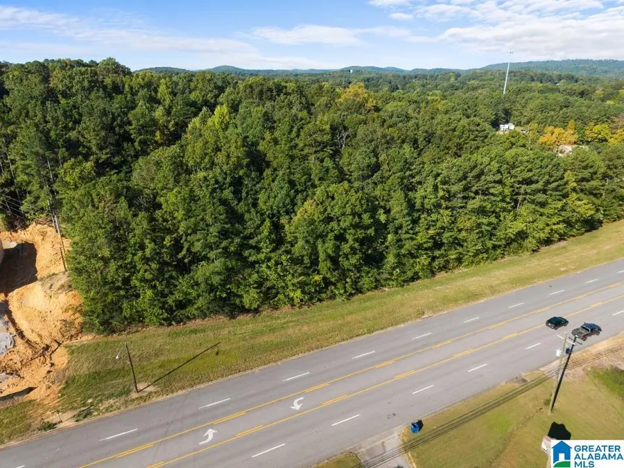 00 HIGHWAY 231, Oneonta, AL 35121 - #2