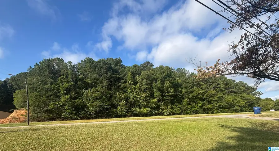 00 HIGHWAY 231, Oneonta, AL 35121 - #3