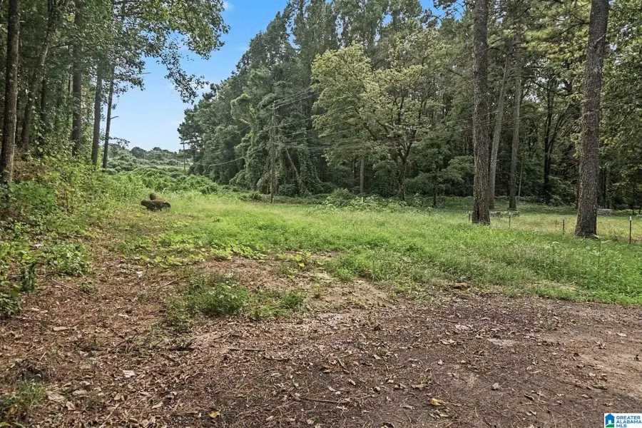 1556 SW POWDER PLANT ROAD SW, Bessemer, AL 35022 - #2