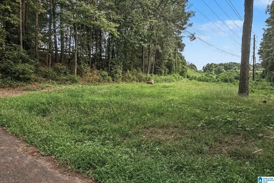 1556 SW POWDER PLANT ROAD SW, Bessemer, AL 35022 - #3