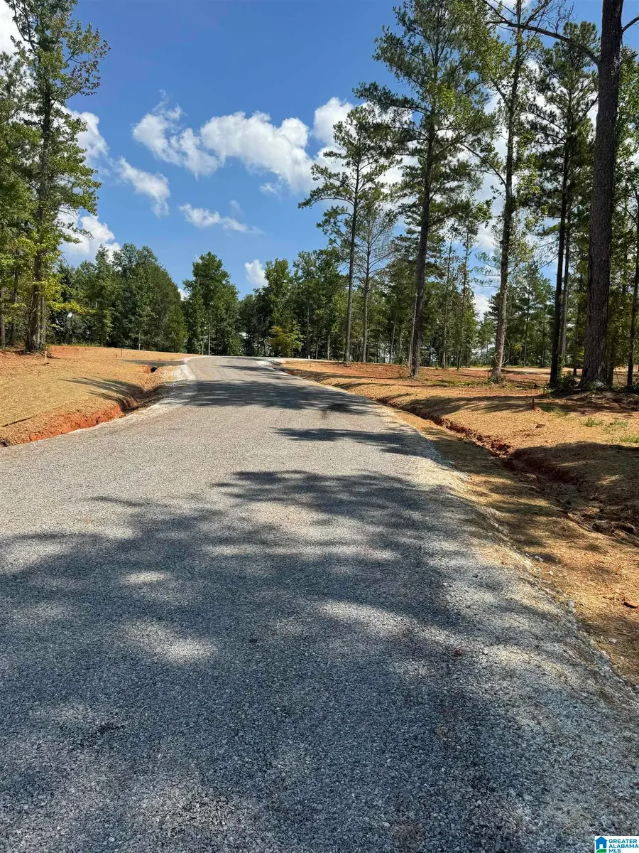 Lot12 Cam's Cov OLD HIGHWAY 431, Wedowee, AL 36278 - #3
