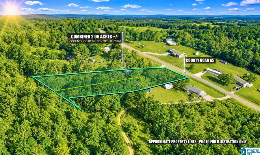 495 COUNTY ROAD 65, Centre, AL 35960 - #3
