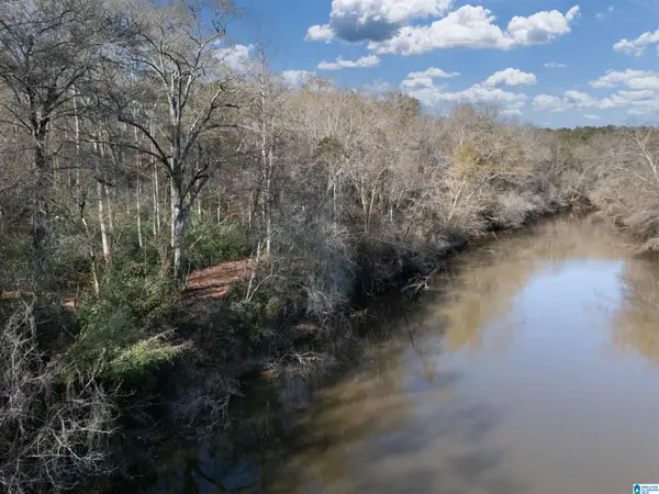 0 COUNTY ROAD 432, Woodland, AL 36280