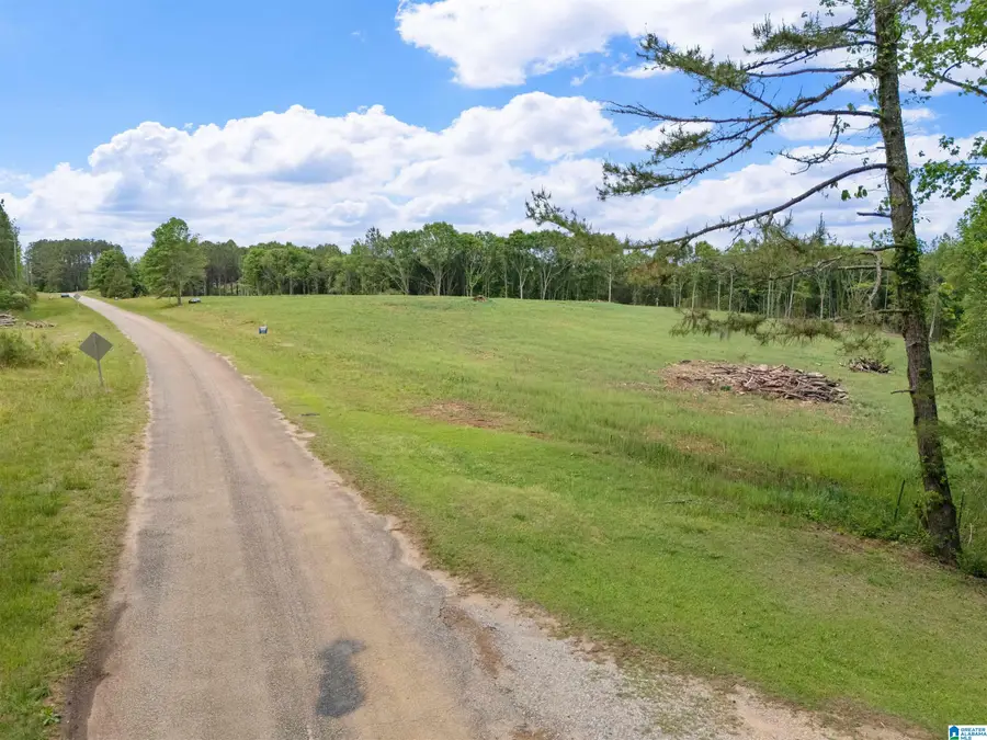 0 COUNTY ROAD 432, Woodland, AL 36280 - #2