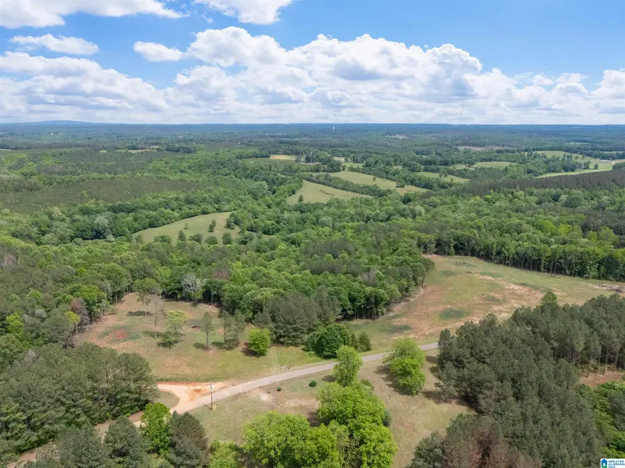 0 COUNTY ROAD 432, Woodland, AL 36280 - #3