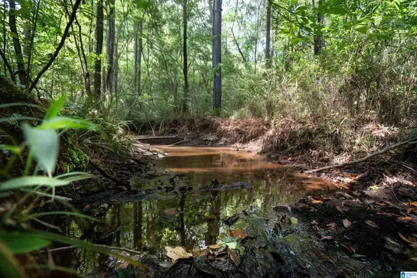 0 COUNTY ROAD 87, Roanoke, AL 36274
