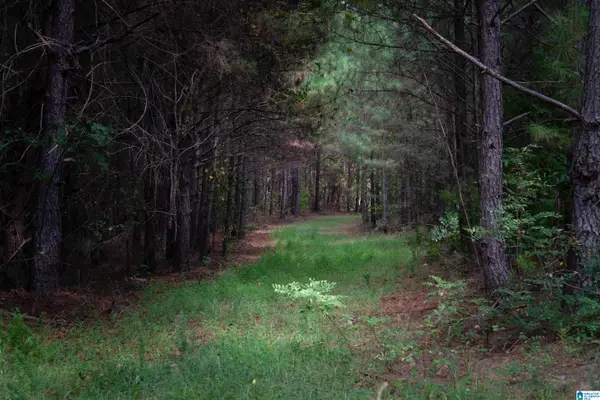 0 COUNTY ROAD 87, Roanoke, AL 36274