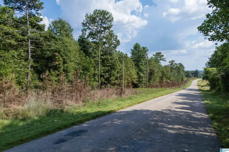 0 COUNTY ROAD 87, Roanoke, AL 36274 - #2