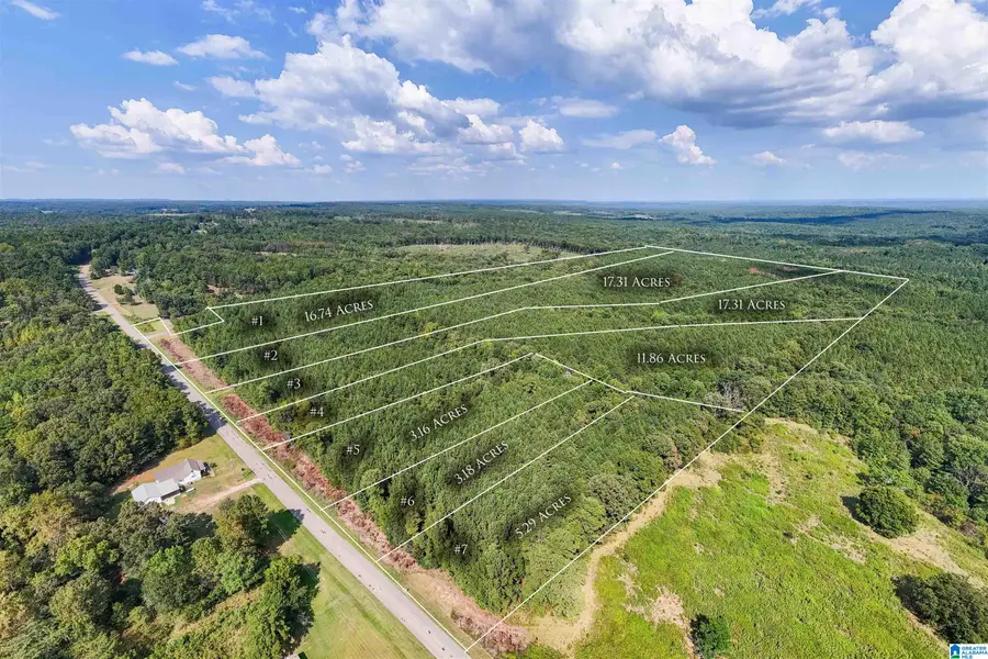 0 COUNTY ROAD 87, Roanoke, AL 36274 - #3