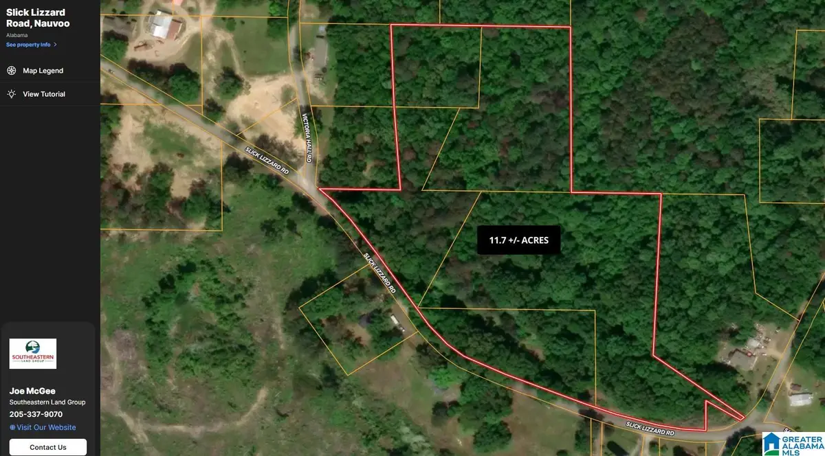 SLICK LIZZARD ROAD, Nauvoo, AL 35578 - #1