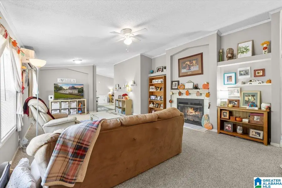 67 PIKE ROAD, Remlap, AL 35133 - #3