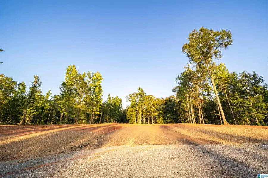 Lot13 Cam's Cov OLD HIGHWAY 431, Wedowee, AL 36278 - #2