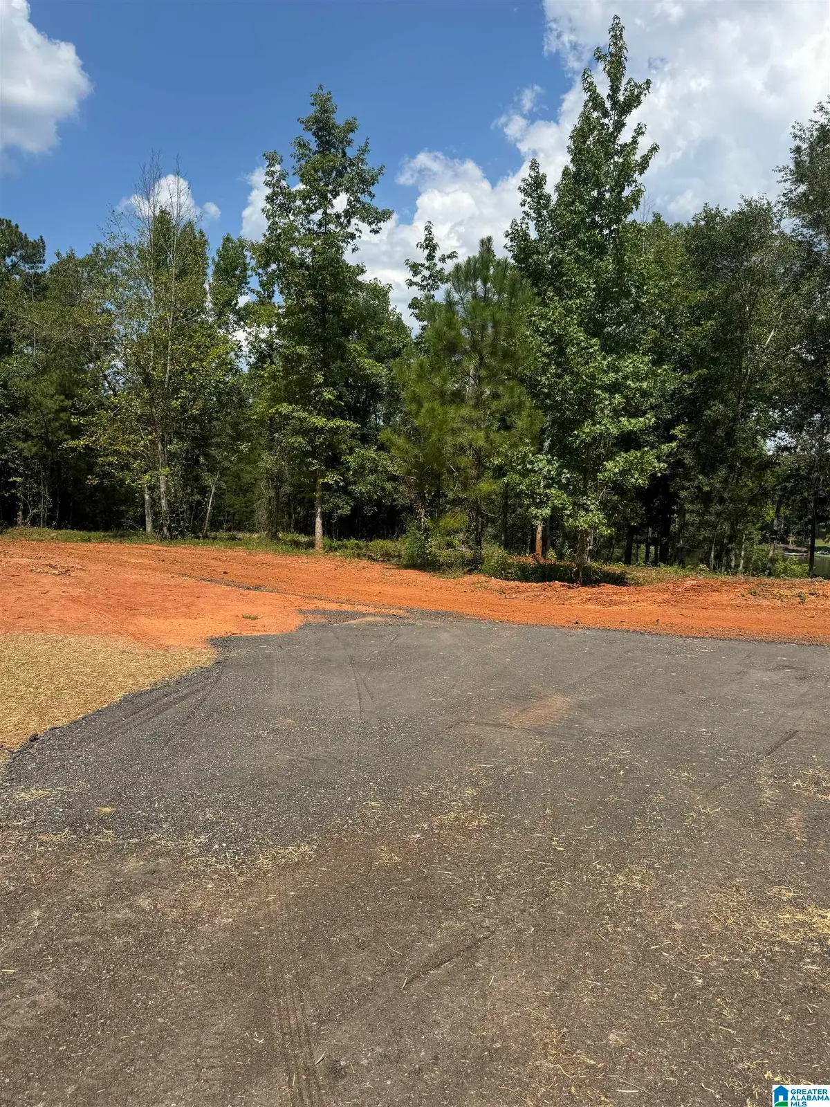 Lot16 Cam's Cov OLD HIGHWAY 431, Wedowee, AL 36278 - #1