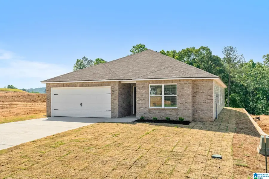 325 BUCKHORN LANE, Lincoln, AL 35096 - #2