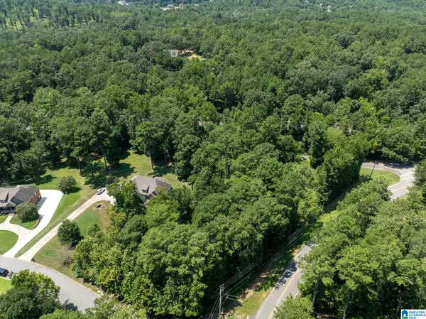 243 ANNA CREEK DRIVE, Helena, AL 35080