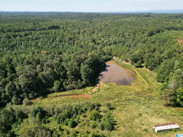 1065 COUNTY ROAD 404, Heflin, AL 36264
