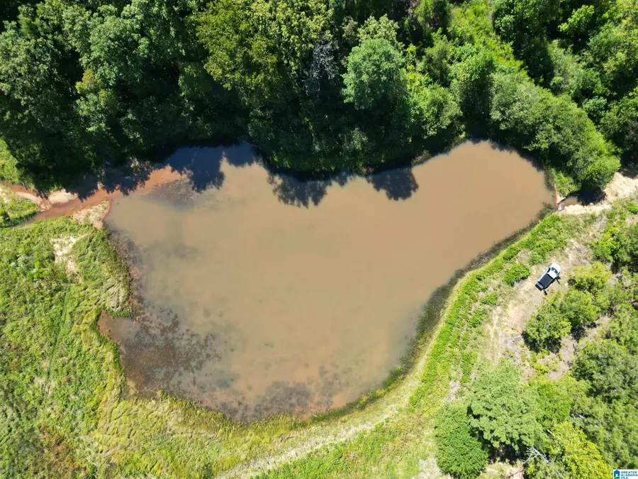 1065 COUNTY ROAD 404, Heflin, AL 36264 - #2