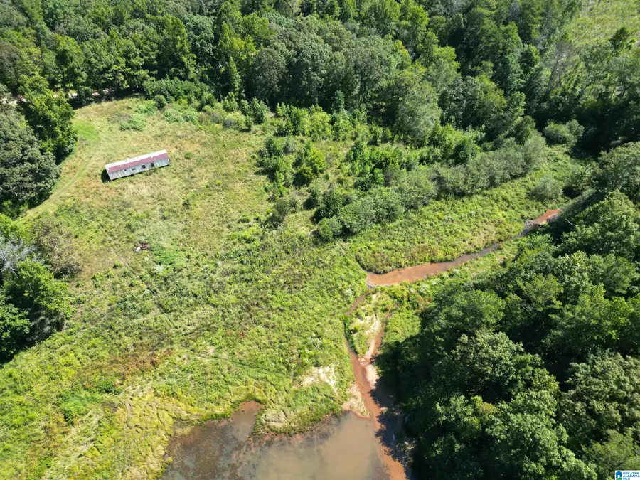 1065 COUNTY ROAD 404, Heflin, AL 36264 - #3