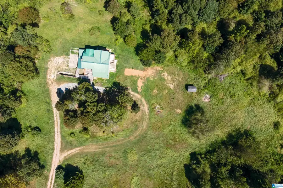 235 GRAHAM ROAD, Pell City, AL 35125 - #3