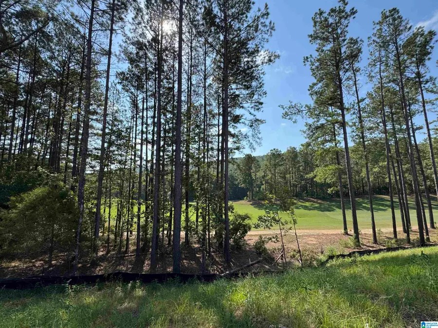112 SINCLAIR GLEN, Pelham, AL 35124 - #3