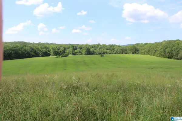 0 JENIFER ROAD, Munford, AL 36268