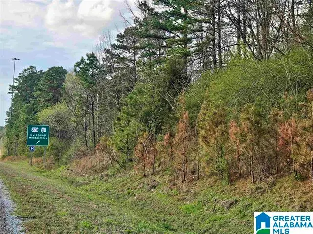 0 W HIGHWAY 280, Sylacauga, AL 35150 - #1