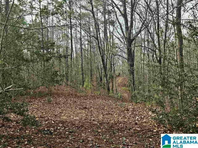 0 W HIGHWAY 280, Sylacauga, AL 35150 - #2