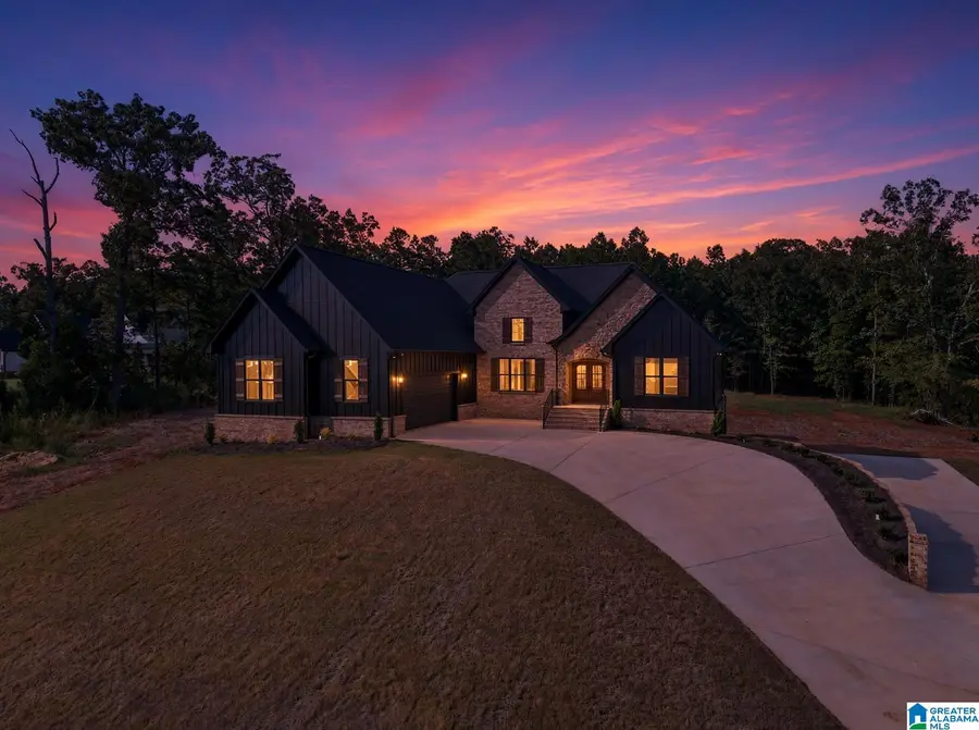 231 BLUE RIDGE ROAD, Pell City, AL 35128 - #2