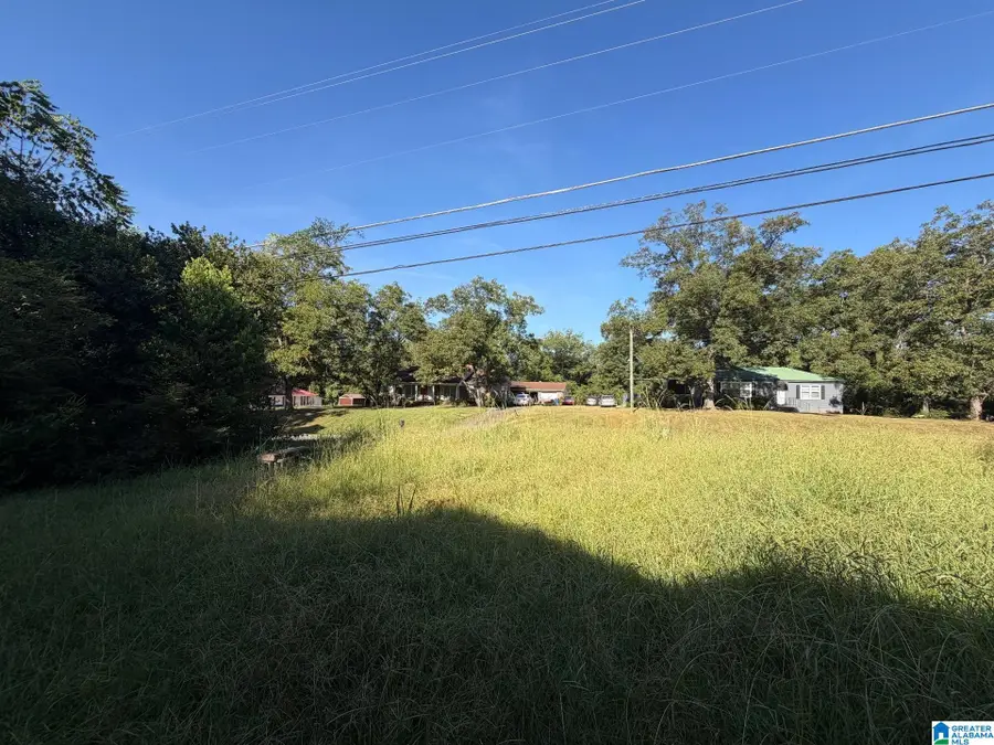803 BANKHEAD BOULEVARD, Talladega, AL 35160 - #3