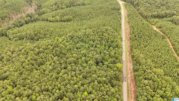 0 COUNTY ROAD 33, Fruithurst, AL 36262