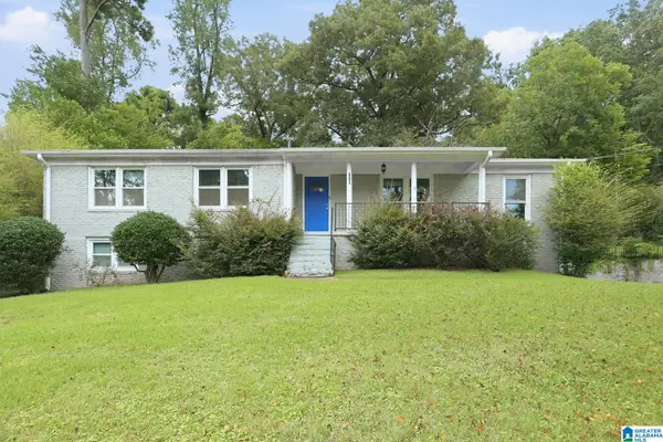 401 CHESTNUT STREET, Birmingham, AL 35206