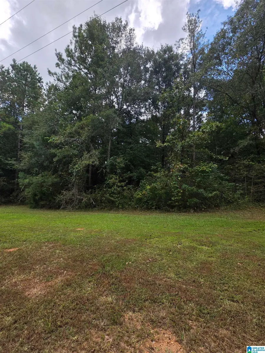 0 JOHN IRWIN DRIVE, Talladega, AL 35160 - #3