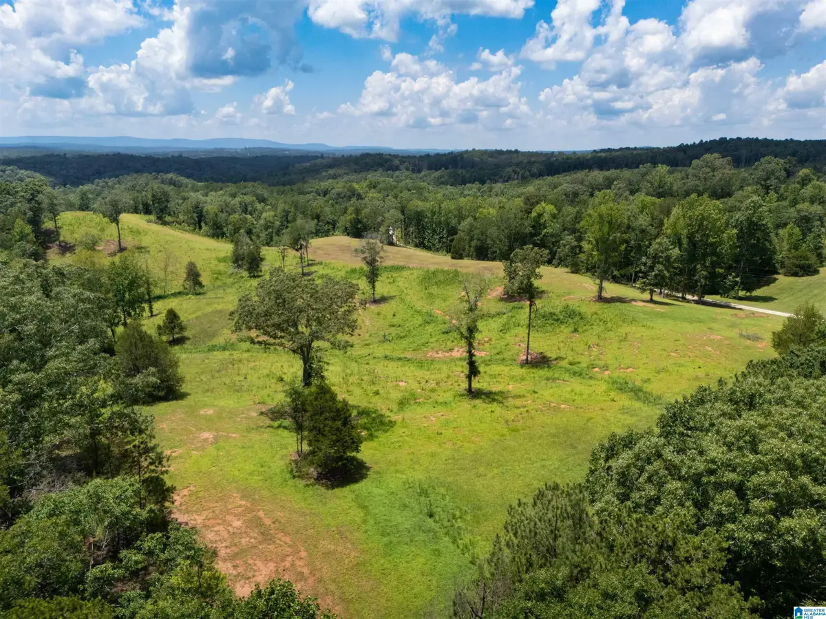 8.19 A WOODGATE SHORES DRIVE, Wedowee, AL 36278 - #1