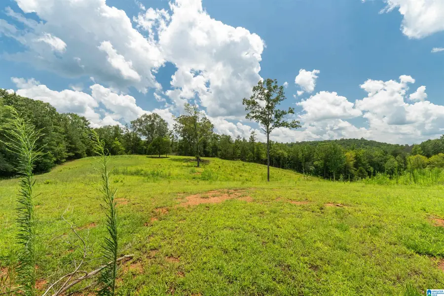 8.19 A WOODGATE SHORES DRIVE, Wedowee, AL 36278 - #3