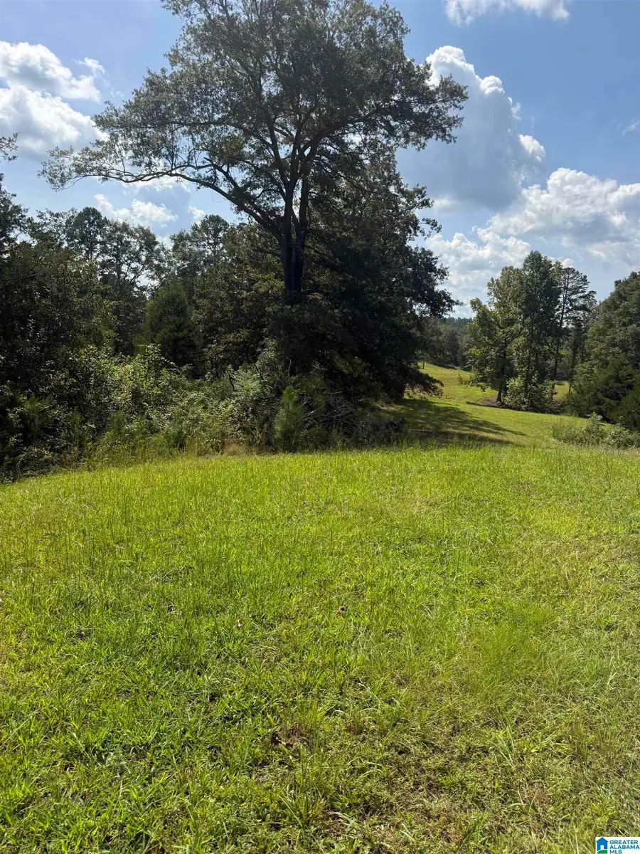 14.80 A COUNTY ROAD 269, Wedowee, AL 36278 - #3