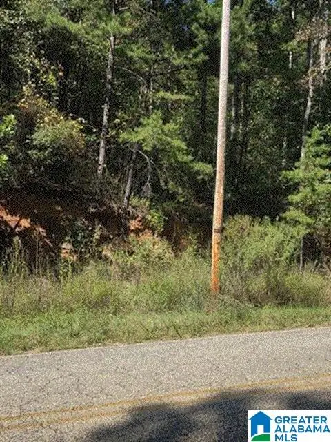 0 COUNTY ROAD 82, Wedowee, AL 36278 - #2