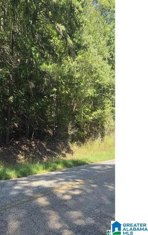 0 COUNTY ROAD 82, Wedowee, AL 36278 - #3