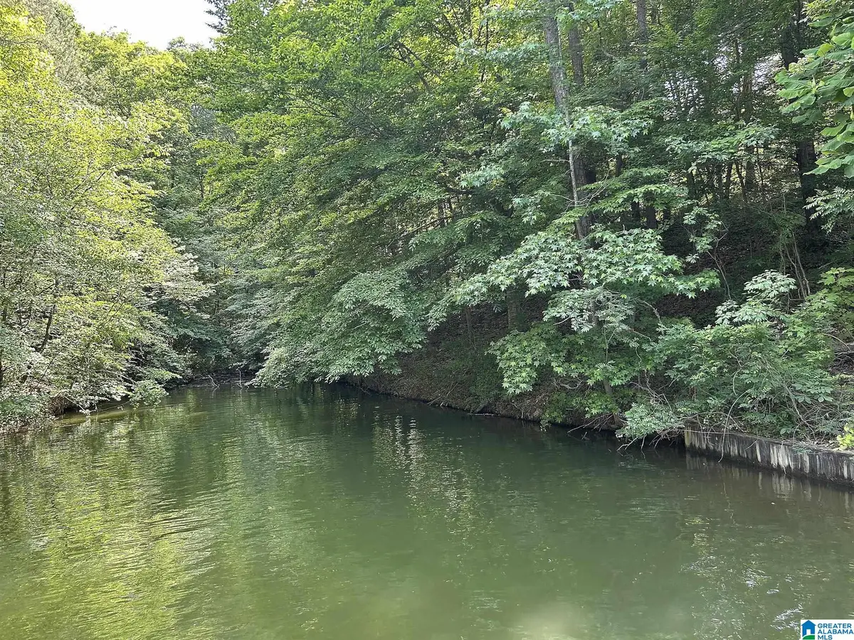 0 MEADOW LANE, Wedowee, AL 36278 - #1