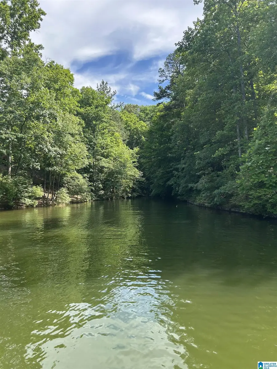 0 MEADOW LANE, Wedowee, AL 36278 - #2