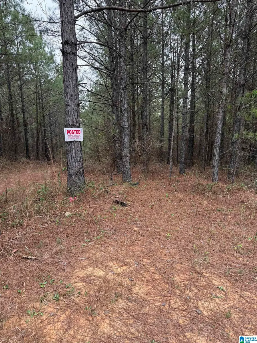 752 HAVEN FARM DRIVE, Columbiana, AL 35051 - #2